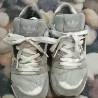 zxفیلی فروش فوری