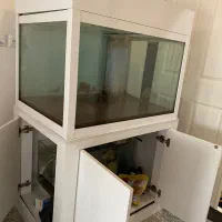 آکواریوم|ماهی|ارومیه, |دیوار