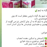 خاکشیر|فعالیت داوطلبانه|سر آسیاب یوسفی, |دیوار