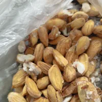 مغز بادام تازه