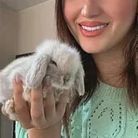 خرگوش لوپ استرالیایی|موش و خرگوش|قم, چهل درخت|دیوار