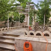 مرغ محلی تخمگذار