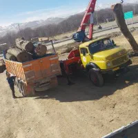 چوب فروش تنه گردو