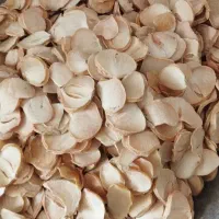 سیر و موسیر