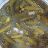 خیارشور فله ای