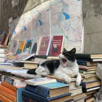 مشاوره تحصیلی با یک‌ ماه رایگان تا رضایت