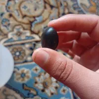فروش سنگ هبهاب مشکی اصل و سنگ جاسپر قرمز|کلکسیون اشیاء عتیقه|علی‌آباد کتول, |دیوار