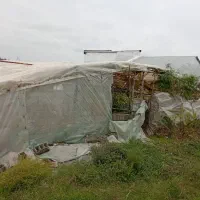 فروش زمین گلخانه در محمود آباد(روستای بائوده سفلی)