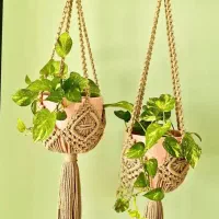 آویزان گلدون بهترین هدیه برا روز مادر|صنایع دستی و سایر لوازم تزئینی|خرمشهر, |دیوار