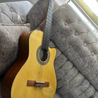 گیتار استیو z1