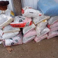 فروش کود مرغی تخمگزار