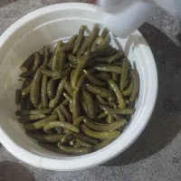 تولید شوریجات و ترشیجات