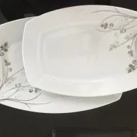 ظروف غذا خوری