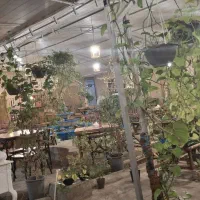 کمک آشپز فست فود|استخدام خدمات فروشگاه و رستوران|رفسنجان, |دیوار