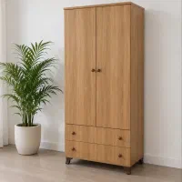 کمد ۸۰ مدل آریا