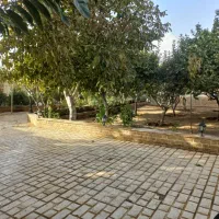 اجاره سالیانه|اجارهٔ خانه و ویلا|کوهسار (البرز), |دیوار