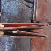 لواشک الو محلی