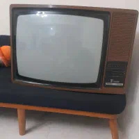 تلوزیون پارس قدیمی|تلویزیون و پروژکتور|باغستان, |دیوار