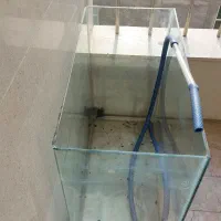 آکواریوم|ماهی|قزوین, |دیوار