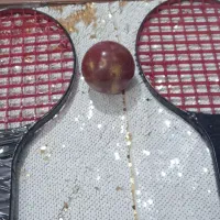 تنیس قیمت توافقی است با توپ با انواع رنگ