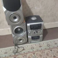 ظبط