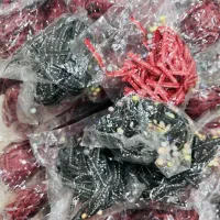 پوشال کاغذی