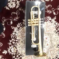 ترومپت|سازهای بادی|اراک, |دیوار