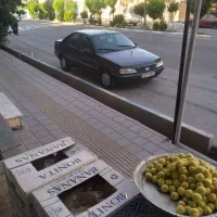 ماشین پژو ۴۰۵ تصادفی|خودرو سواری و وانت|فردوسیه, |دیوار