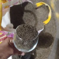 زیره کوهی از ارتفاعات کرمان