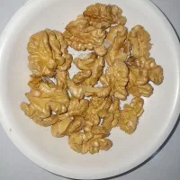 فروش گردو