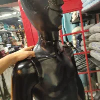 مانکن مرتب|فروشگاه و مغازه|سنندج, |دیوار