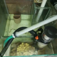 آکواریوم آب شور|ماهی|اصفهان, شفق|دیوار