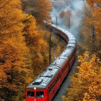 پیش فروش بلیط قطار دی ماه