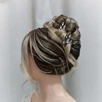 شنیونکار تخصصی آماده همکاری با سالن و میکاپ کار