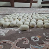 سنگ الماس آسیاب|جواهرات|اصفهان, هفتون|دیوار