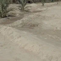 فروش زمین کشاورزی 4000متر|فروش دفتر صنعتی، کشاورزی، تجاری|ایرانشهر, |دیوار