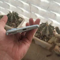 oppo Reno 10 5g|موبایل|تهران, ارم|دیوار
