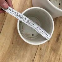 گلدان مهرنی|گل و گیاه طبیعی|بجنورد, |دیوار