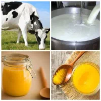 انواع محلی گاو شیر، کشک ،روغن، دوغ. ماست