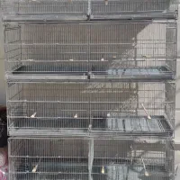 قفس ۸ خان اردشیر