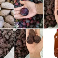 آلو خورشتی آبغوره و بادام درختی محصول امسال