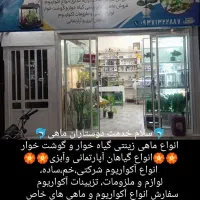 انواع ماهی و آکواریوم گیاه آپارتمانی وآبزی|ماهی|خواف, |دیوار