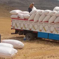 فروش کاه  دیم نرم و زبر درجه یک کرمانشاه