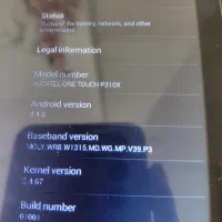 تبلت الکاتل|تبلت|اصفهان, شیخ طوسی|دیوار