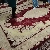 دو عدد فرش ۱۲ متری