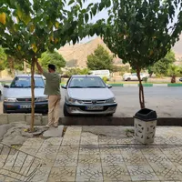 مهران