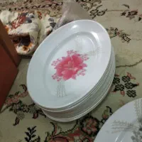 ظرف ملامین