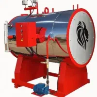 دیگ بخار کارواش