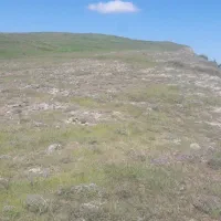 تاکسی روا مدل ۸۹