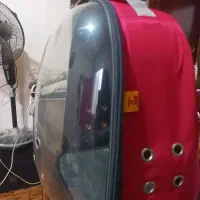 باکس و کوله پشتی فضای حمل گربه و سگ نژاد کوچیک|لوازم جانبی حیوانات|رشت, کوی حسینی|دیوار